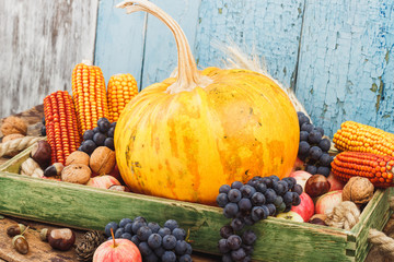 Thanksgiving day: Tray of different autumn vegetables