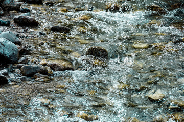 The bottom of a clear stream