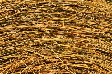 many straw hay