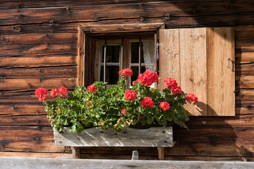 Fototapeta na wymiar Hut and window with red flowers