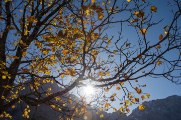 Autumn in the karwendel mountains