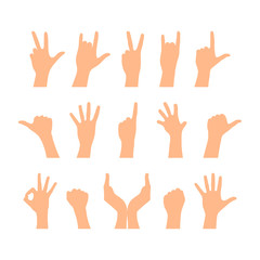 Set of hands showing different gestures isolated on a white background. Vector flat illustration of female and male hands . Isolated flat vector illustration