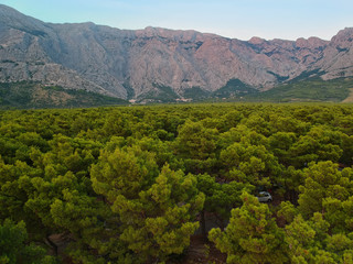 An aerial view from drone to the trees and mountain in Croatia