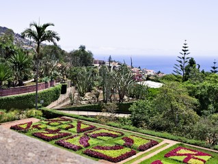 Panoramic view of the botanical garden of Funchal in Madeira Island (Portugal,Europe)