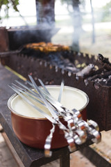 Skewers and grilled meat on the grill