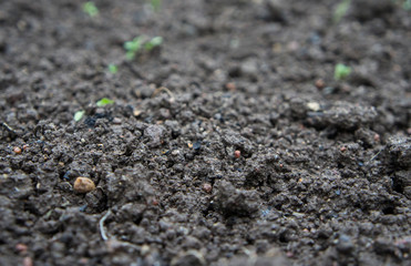 Gray soil ground texture closeup.