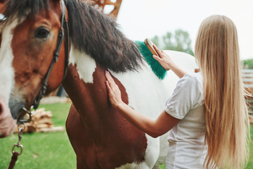 On dry field. Happy woman with her horse on the ranch at daytime