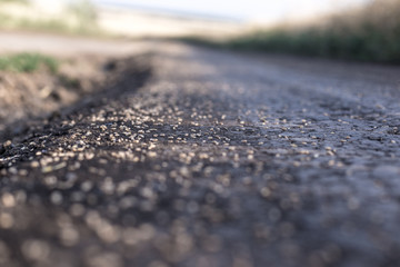 Wheat grains scattered on a dirt road