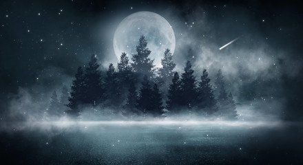 Fototapeta na wymiar Dark forest. Gloomy dark scene with trees, big moon, moonlight. Smoke, shadow. Abstract dark, cold street background. Night view.