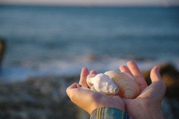 貝殻を持つ