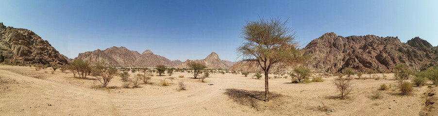 Fototapeta na wymiar Panorama view of desert view on extreme heat weather. Travel concept
