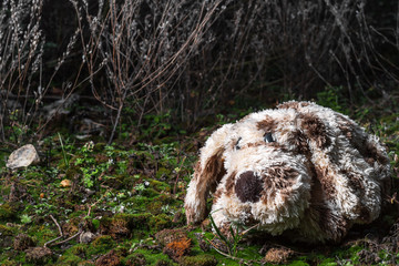 plush puppy with sad eyes lies on a green moss on a background of dry grass