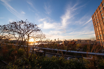 High Line