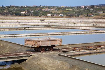 Obraz premium Sečovlje Salina Nature Park