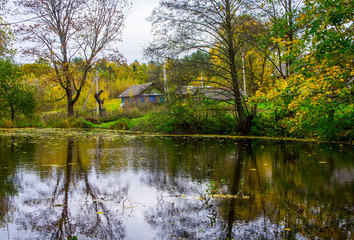 Fototapeta na wymiar Autumn pond with yellow fallen leaves on the water.
