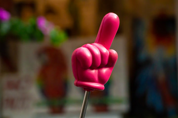 Rubber hand on a stick of a tourist guide - obrazy, fototapety, plakaty