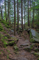 Scandinavian mountain nature with stones. Rocks in the forest with moss.