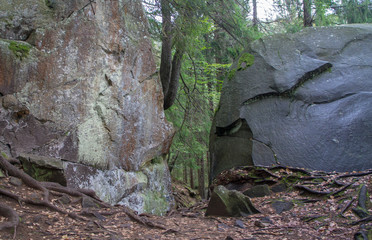 Obraz premium Scandinavian mountain nature with stones. Rocks in the forest with moss.