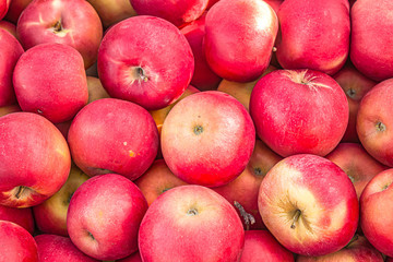 Fototapeta na wymiar Harvest apples on the market as a background