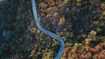 Overhead Aerial Shoot of road through colorful  forest.Shoot From air.