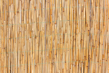 Wall of dry bamboo. Old brown texture for background 
