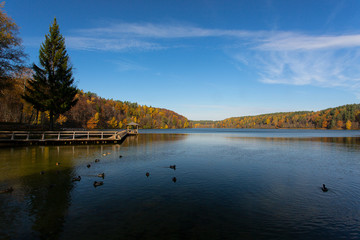 beautiful lake in golden autumn