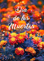 Dia De Los Muertos. Marigold, traditional flowers, symbol to day of dead in Mexico. Cempasuchil,...