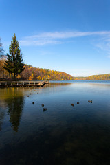 beautiful lake in golden autumn