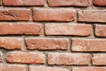 red brick wall as background.