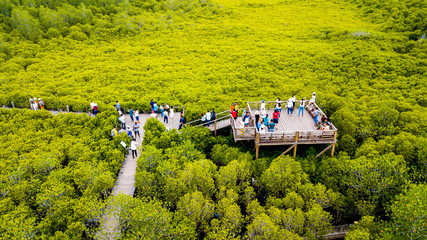 RAYONG, THAILAND - MAY 9, 2019 : Aerial view, View Point of Golden Meadow Field or Thung Prong...