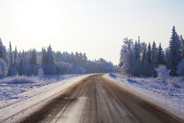 Fototapeta premium Winter road and forest. Beautiful landscape. Background.