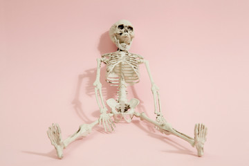 Pink skeleton