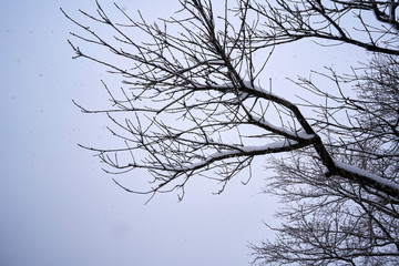 Shirakawa-go Village