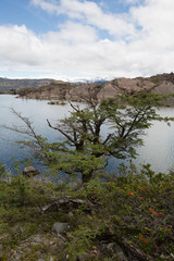 Torres del Paine is a national park in Chile that was declared a UNESCO Biosphere reserve in 1978.Patagonia