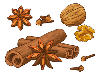 Christmas illustration hand draw vector. Star anise, cinnamon, walnut, cloves. Isolated od white background. Winter spices.