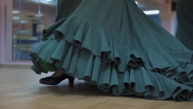 the girl dances flamenco, bata