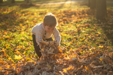Happy little child baby boy laughing and playing in the autumn