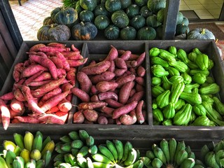 vegetables at the market