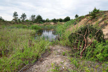 Biotop in einem stillgelegten Abbaugebiet, Bialowieza, Polen - Biotope in an abandoned mining area,...