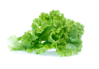 Lettuce isolated on white background