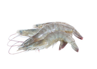raw shrimp isolated on white