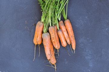 Fresh bunch of carrots on a black background