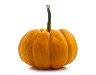 pumpkin isolated on white