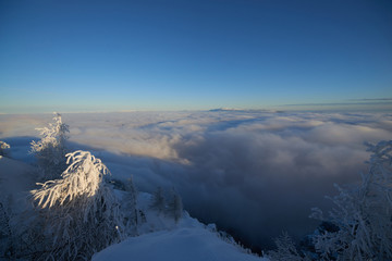 Fototapeta premium the alps