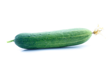 Cucumber  isolated on white background