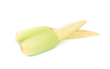 baby corn isolated on white background