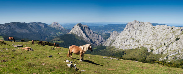 Vista panorámica con caballos salvajes desde la cima de la montaña en el Parque Natural de...