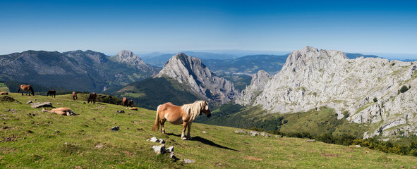 Panoramic view of wild horses grazing in the mountains of Urkiola Natural Park, Biscay province,...