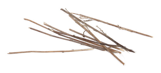 Dry branches, twigs isolated on white background