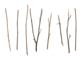 Dry branches, twigs set and collection isolated on white background